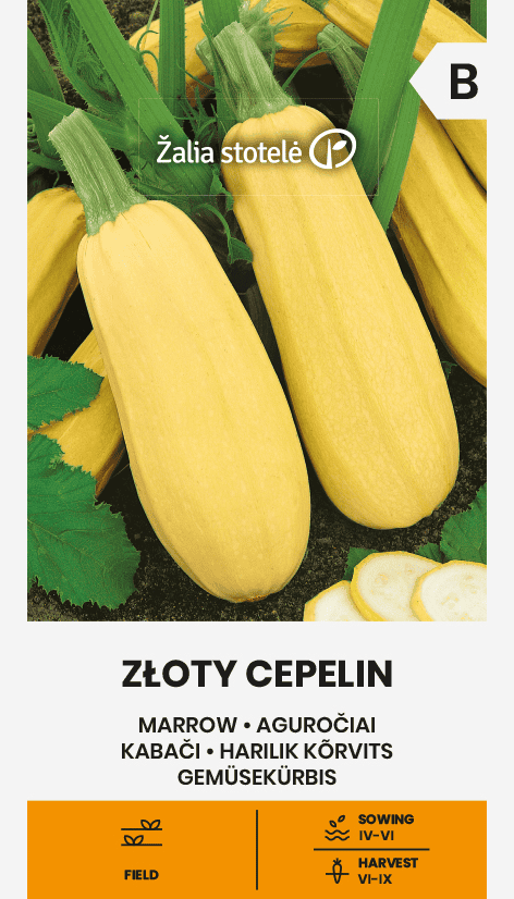 Kabatšokk "Zloty Cepelin"