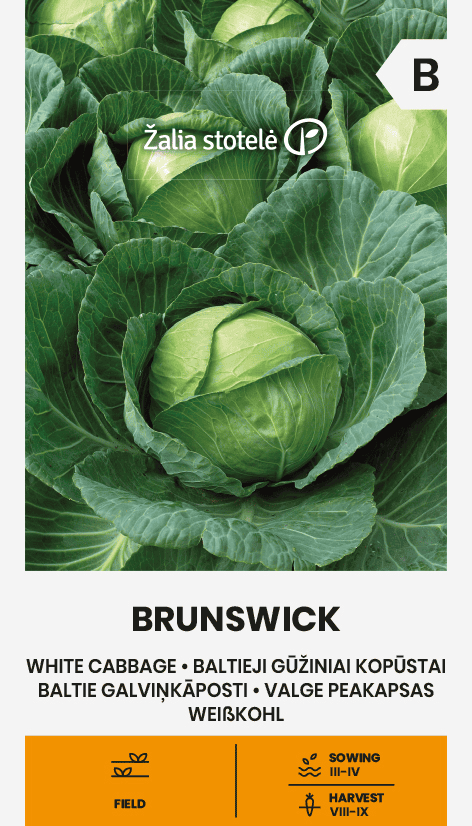 Valge peakapsas "Brunswick"