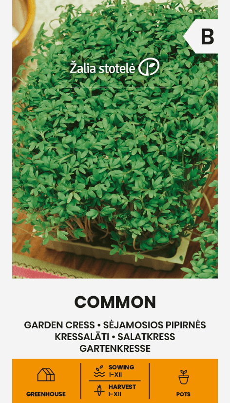 Salatkress - kress-salat  "Common"