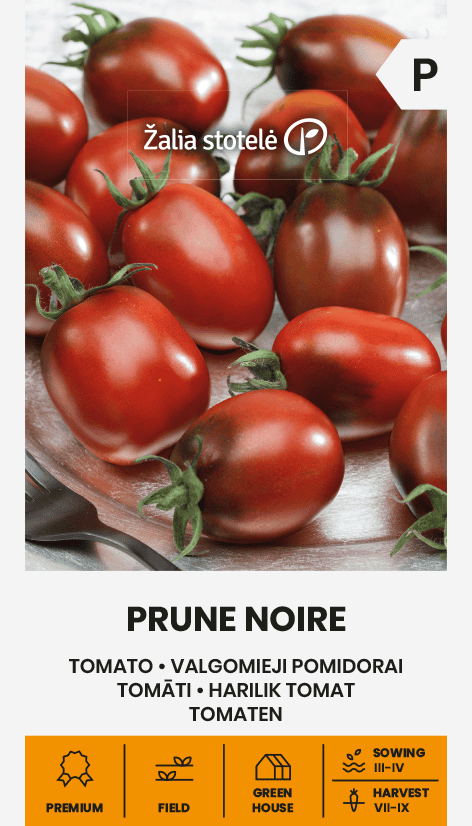 Tomat "Prune Noire"