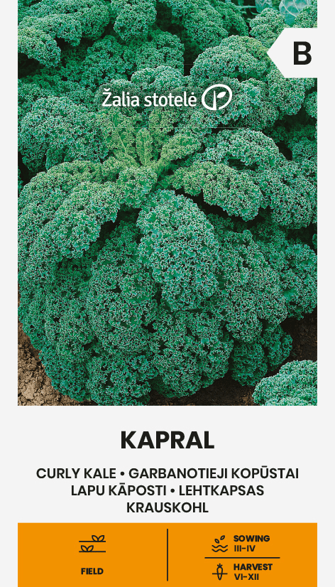 Kähar lehtkapsas "Kapral"