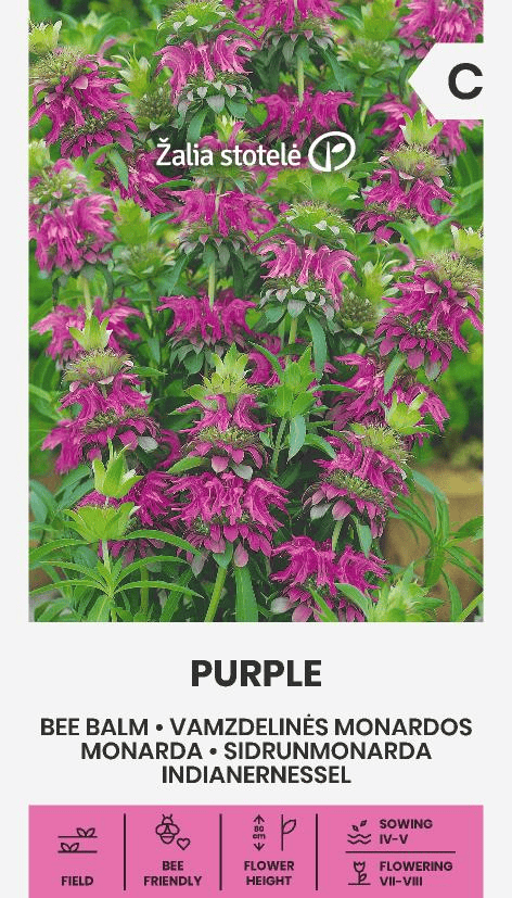 Sidrunmonarda "Purple"