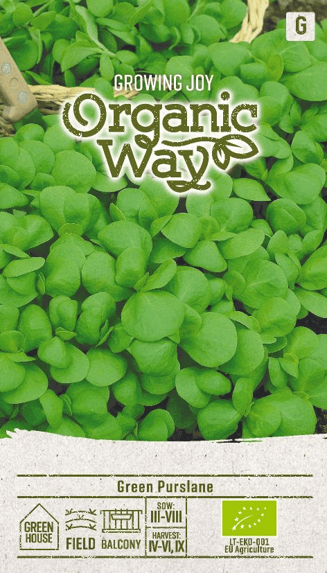 Harilik portulak  "Green Purslane"