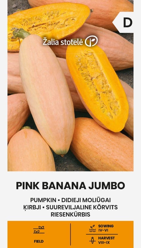 Kõrvits "Pink Banana Jumbo"