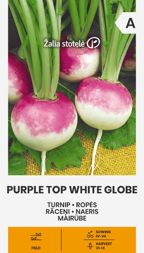 Naeris "Purple Top White Globe"