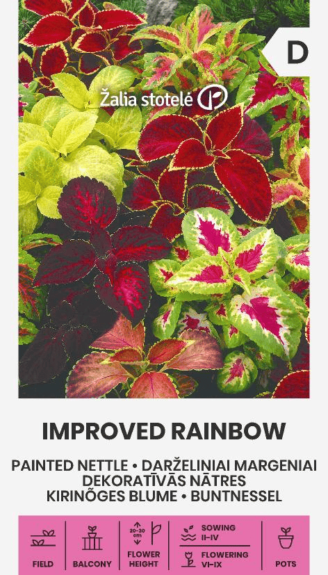 Värd-kirinõges "Improved Rainbow"