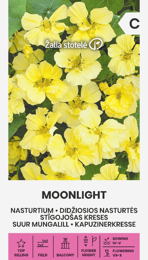 Suur mungalill "Moonlight"