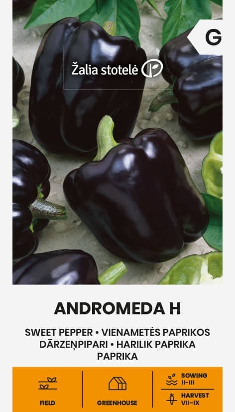 Paprika "Andromeda" F1