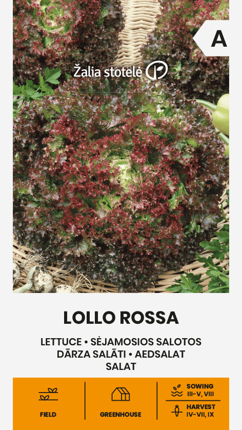 Lehtsalat "Lollo Rossa"