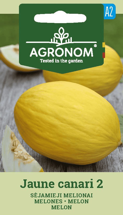 Melon "Jaune Canary 2"