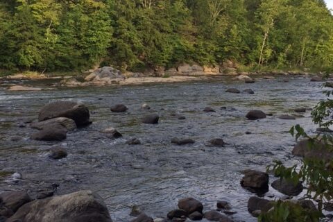 how to conserve water