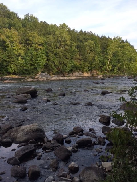 how to conserve water