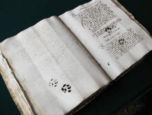 MedievalManuscriptAppraisal