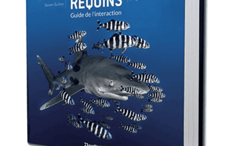 15 ans d’expériences avec les requins dans le livre (indispensable) de Steven SURINA