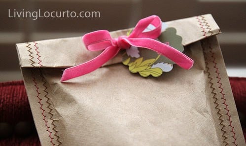 Homemade Gift Bag - Easy Sewing Craft.  LivingLocurto.com