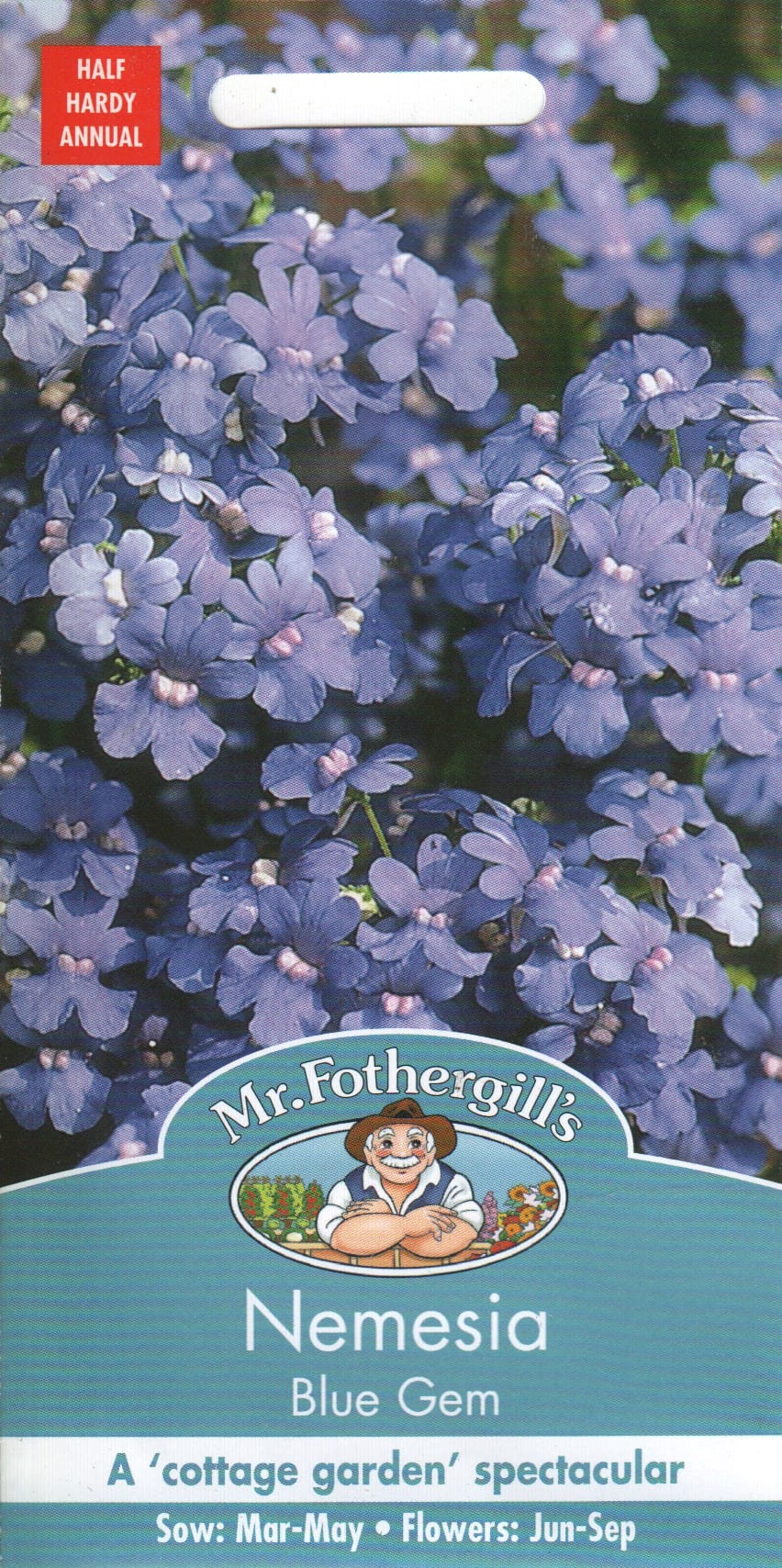 Sinine nemeesia "Blue Gem"