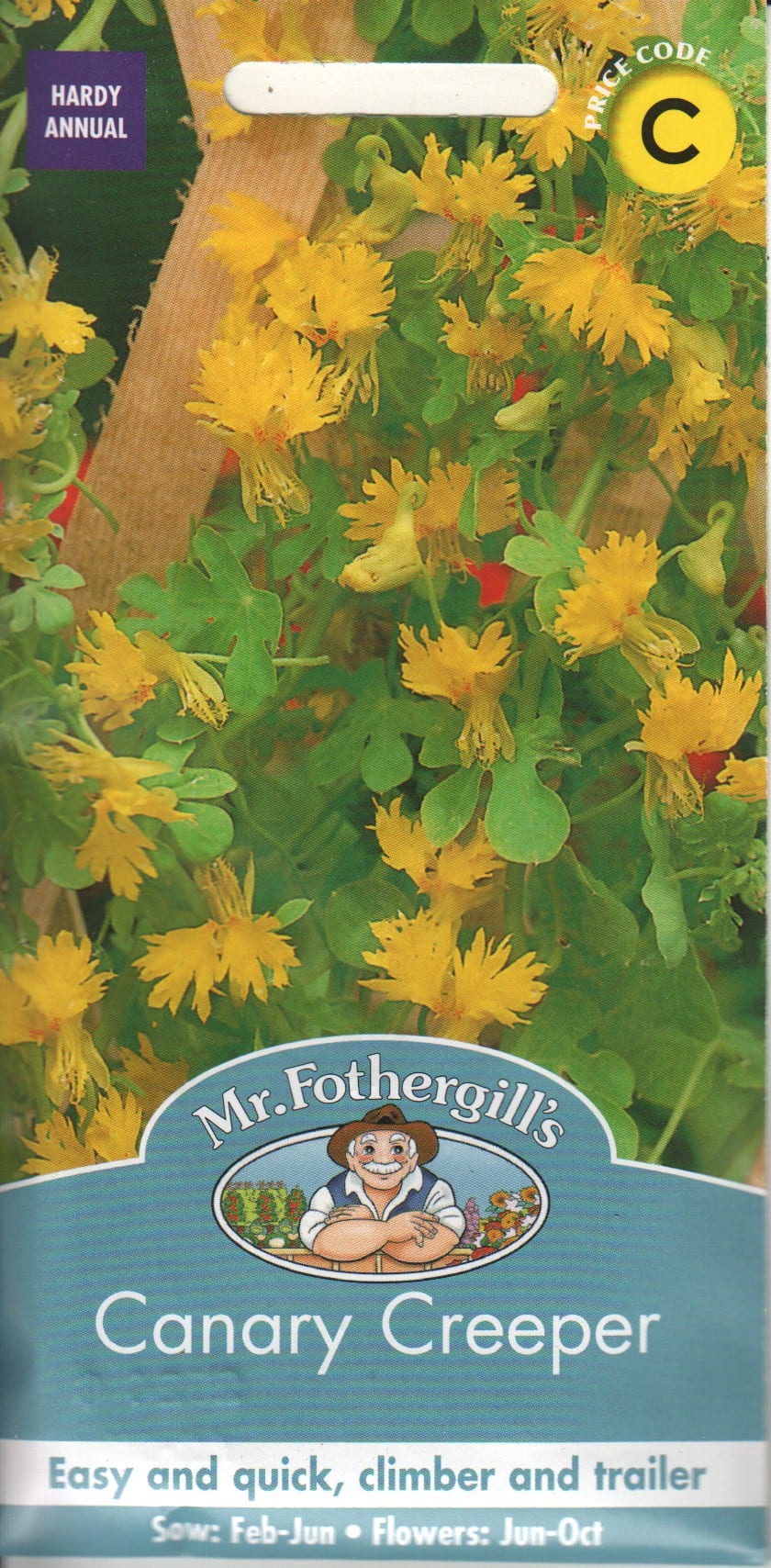 Lõhis-mungalill "Canary Creeper"