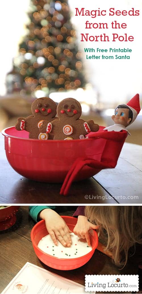 Elf on the Shelf Magic Seeds Idea and Free Printable Letter from Santa! LivingLocurto.com