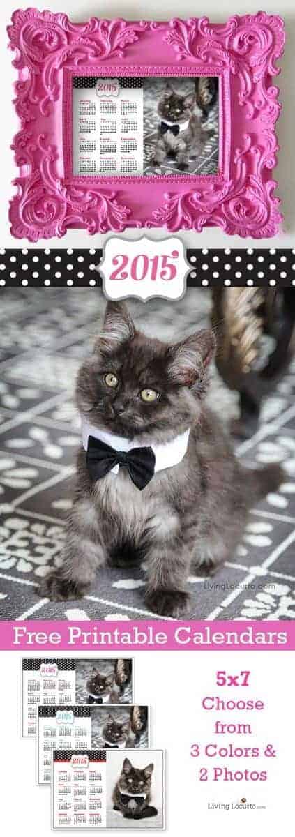 2015 Free Printable Calendars - Cute kitten desktop calendar from LivingLocurto.com