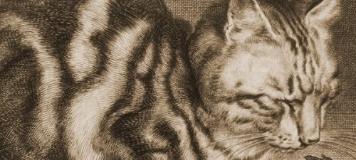 Rare Book Buyer.com – We Buy Old and Rare Books, Libraries, and Entire Estates.  Immediate Payment