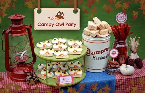 Celebrate a fall birthday this season with these cute Owl Birthday Party ideas and printables. Unique party designs and desserts with a plaid outdoor camping theme.