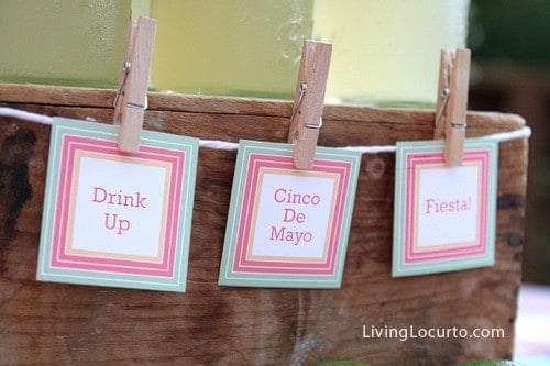 Cinco de Mayo Party Ideas - Margarita Recipe - Free Printables