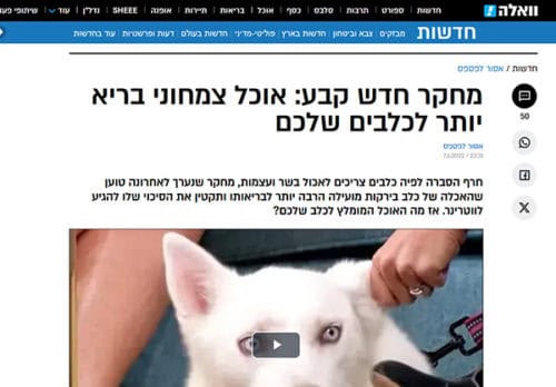 מחקר כלבים צמחונים וואלה22- מחקר כלבים צמחונים וואלה22-