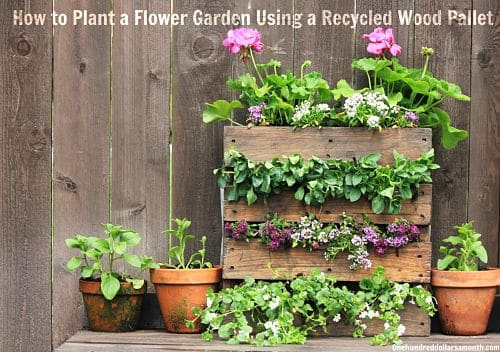 12 Ideas for Turning a Pallet into a Flower Garden - Living Locurto