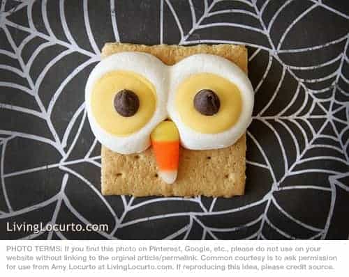 Halloween Owl S'mores Recipe by Amy Locurto at LivingLocurto.com | Fun Food Idea