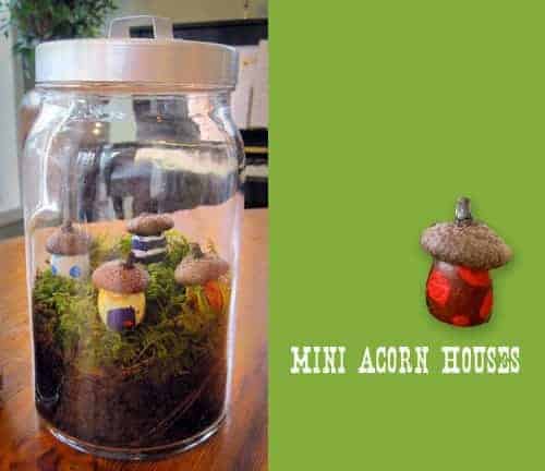 Mini Acorn Houses – DIY Terrarium Craft