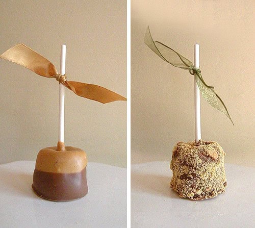 8 fast and easy ways to dress up a marshmallow! Easy Chocolate Marshmallow Pops 8 Easy Ways to Decorate a Marshmallow Pop. Fun Party Recipe Ideas. Chocolate Marshmallows. LivingLocurto.com