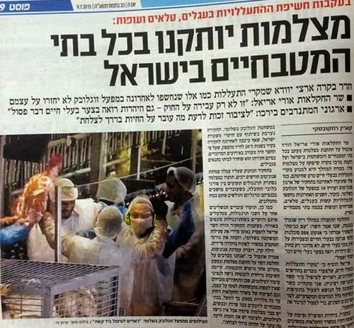 מצלמות יותקנו במשחטות ישראל פוסט 500