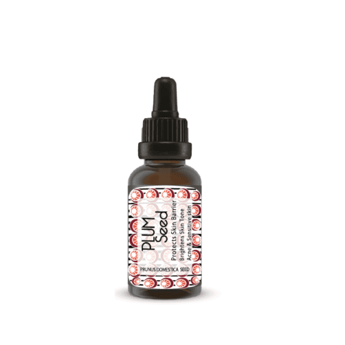 pruimenpit olie - plum seed plum kernel oil