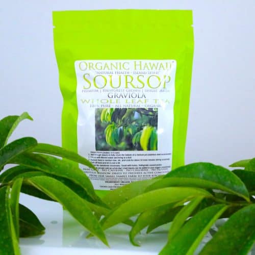 Soursop (Graviola) Tea leaves