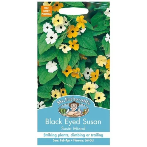 Tiivuline tunbergia  "Black Eyed Susan"