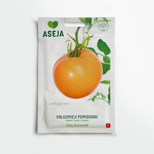 Tomat "Zloty Ožarowski"