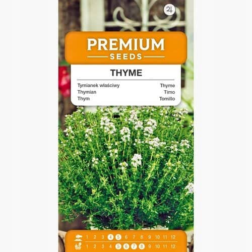 Tüümian ehk aed-liivatee