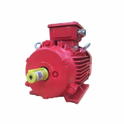 Motoare Electrice - Seria M - Motovario