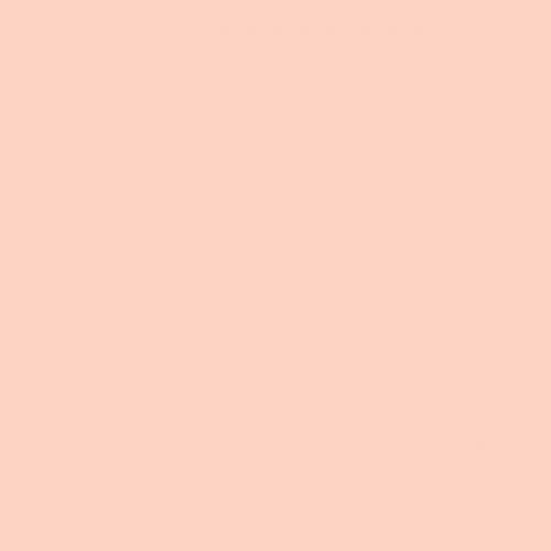 Bella Solids - Pale Pink