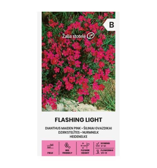 Nurmnelk "Flashing Light"