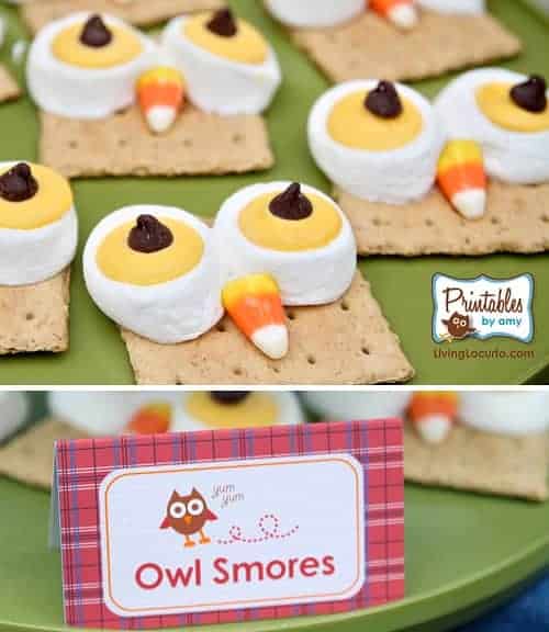 Owl Smores Dessert Sign. Owl Birthday Party ideas and printables. Unique party designs and desserts with a plaid outdoor camping theme.