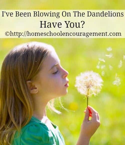 Sin is alot like weeds in your garden!  Have you ever had days where you just wish you didn’t have to pull weeds anymore?  Here are a few thoughts on no longer pulling those proverbial weeds.