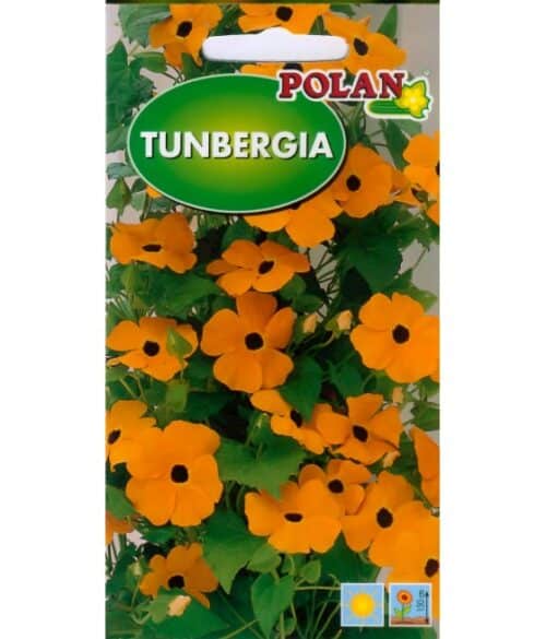 Tiivuline tunbergia