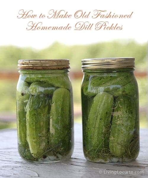 Refrigerator Dill Pickles