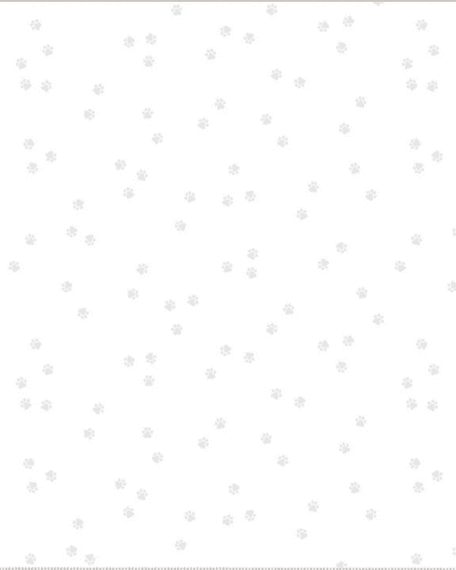 Windham Fabrics - Frosting - Puppy Paws