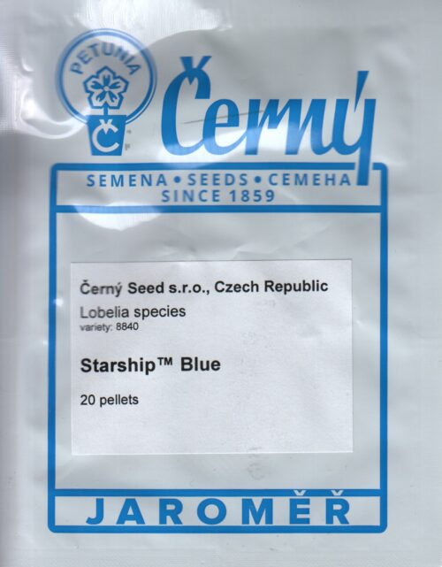 Eriline lobeelia "Starship Blue" - Image 2
