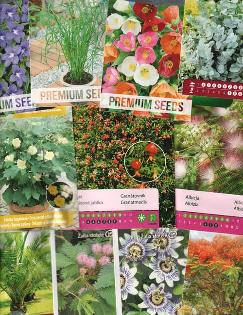 Kinkekomplekt toalillesõbrale -11 pakki põnevate toalillede seemneid ja kinkekott!