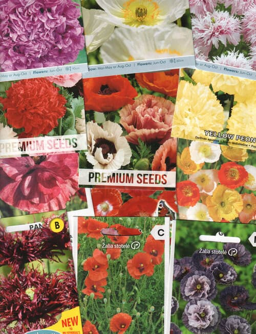 Kinkekomplekt moonisõbrale - 12 pakki erinevate moonide seemneid ja kinkekott!