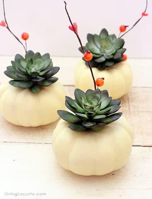 Mini Pumpkin Succulent Centerpiece Craft