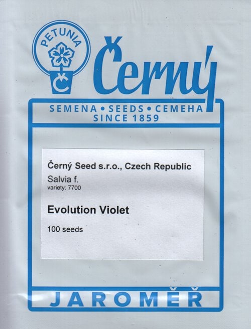 Hall salvei "Evolution Violet" - Image 2